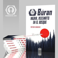 Ingair, asesinato en el bosque ebook